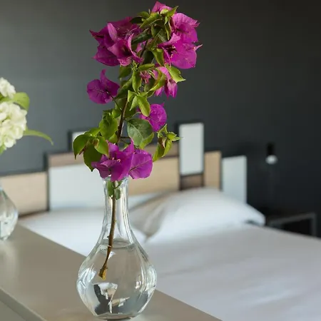 Bed & Breakfast Radici Luxury